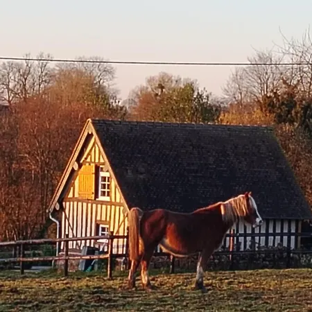 A La Petite Bretonniere Ferienhaus Saint-Pierre-Des-Ifs (Calvados)