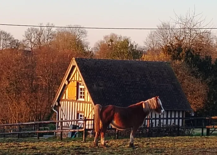 A La Petite Bretonniere Holiday home Saint-Pierre-Des-Ifs (Calvados)
